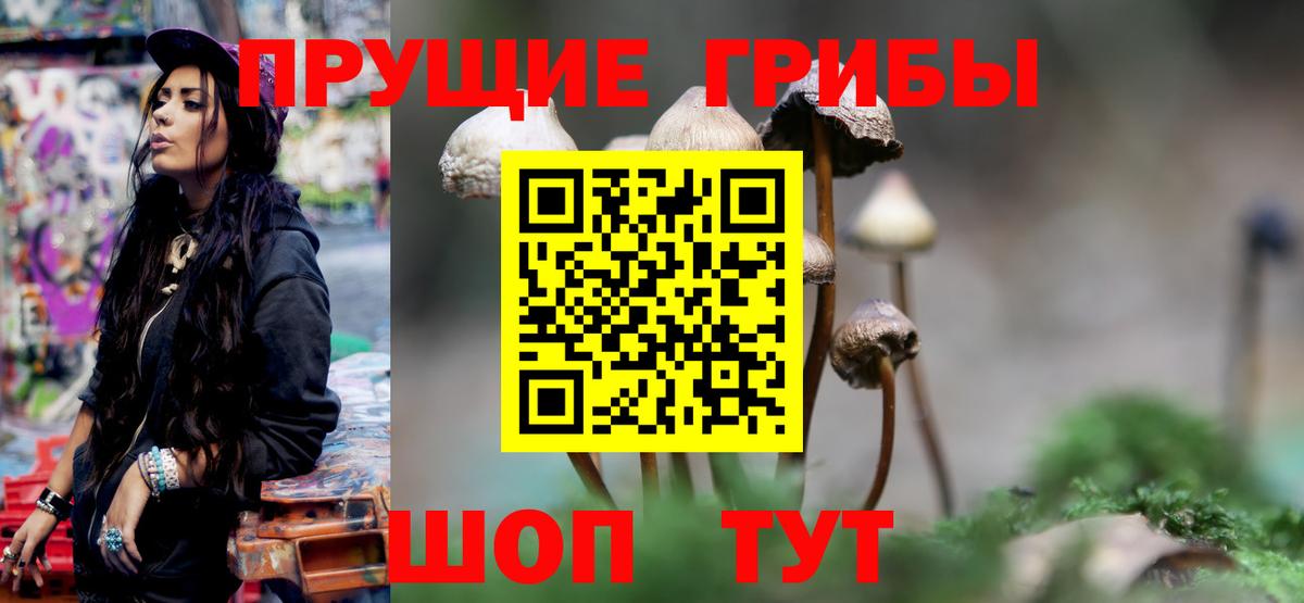 Галлюциногенные грибы Cubensis  Вход с VPN  Барабинск  Галлюциногенные грибы Psilocybe 